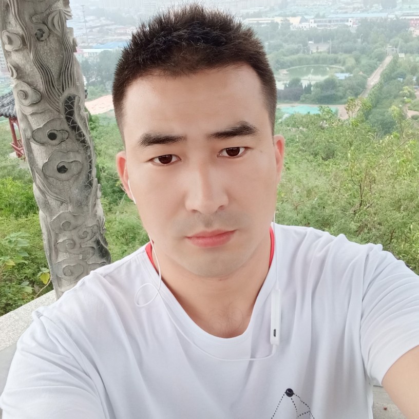 欠你的向日葵的照片