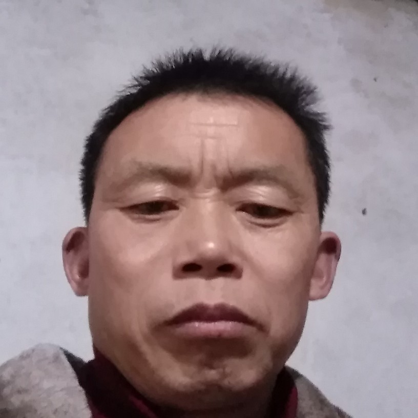 小海豚精明成都的照片