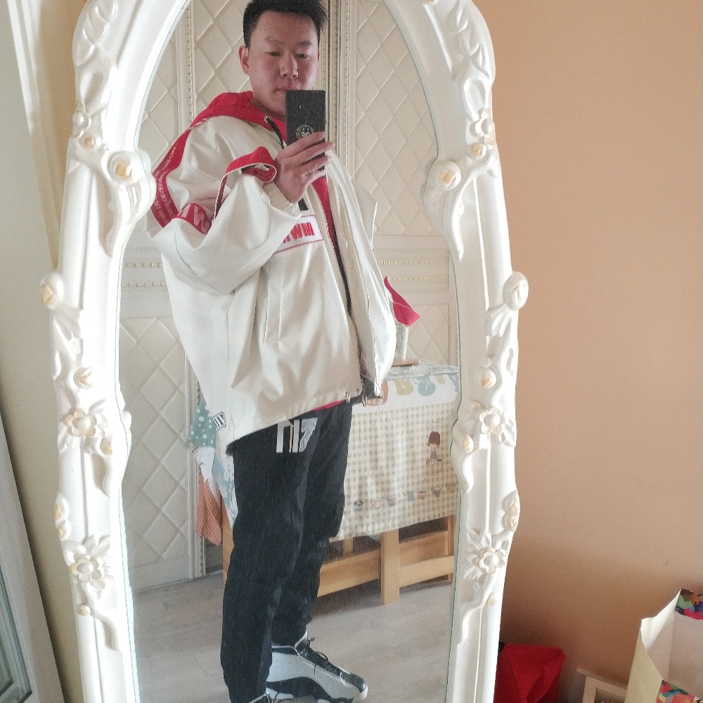 火星上就蚂蚁的照片