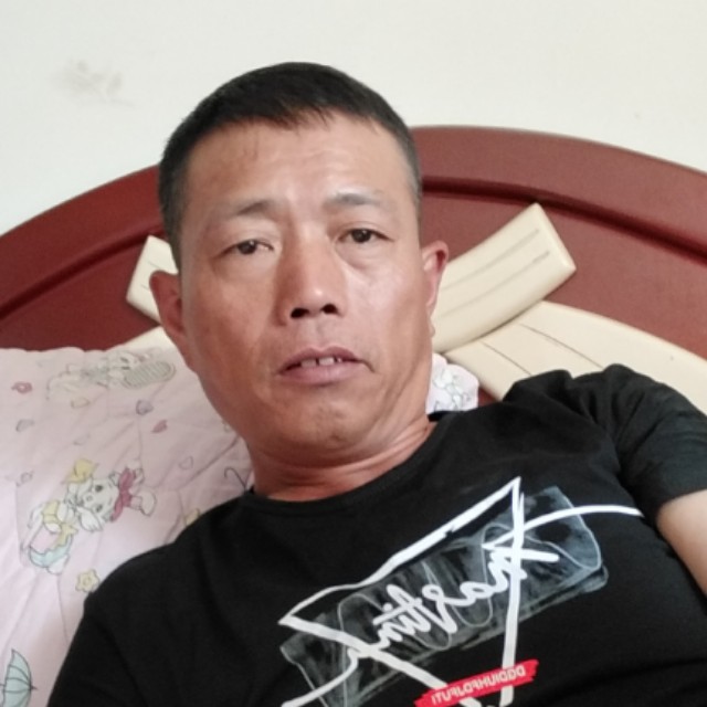 小鸭子就缓慢的照片