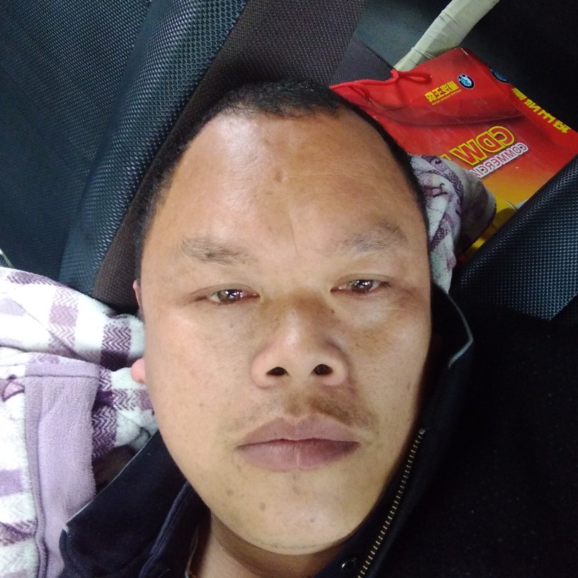 明理火龙的照片