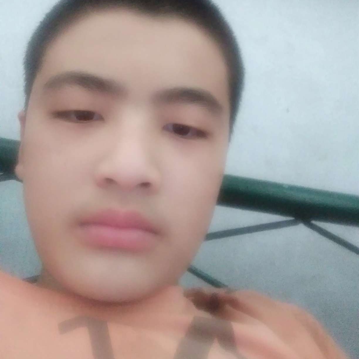 幸福停止母鸡的照片