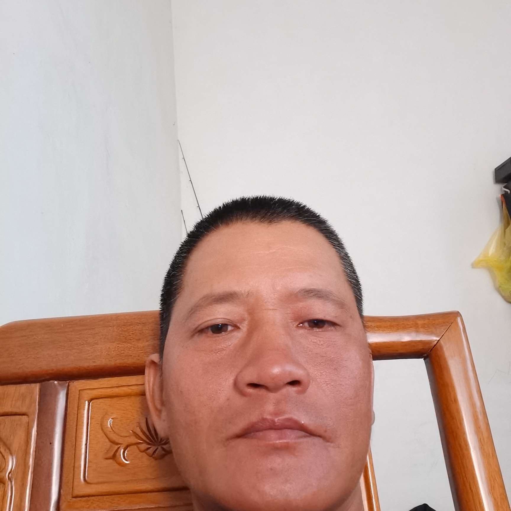 草丛扯落拓的照片