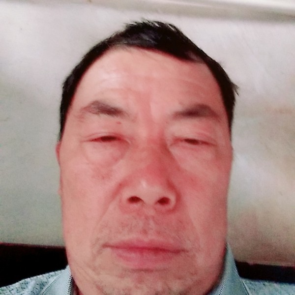 蛋挞彪壮的照片