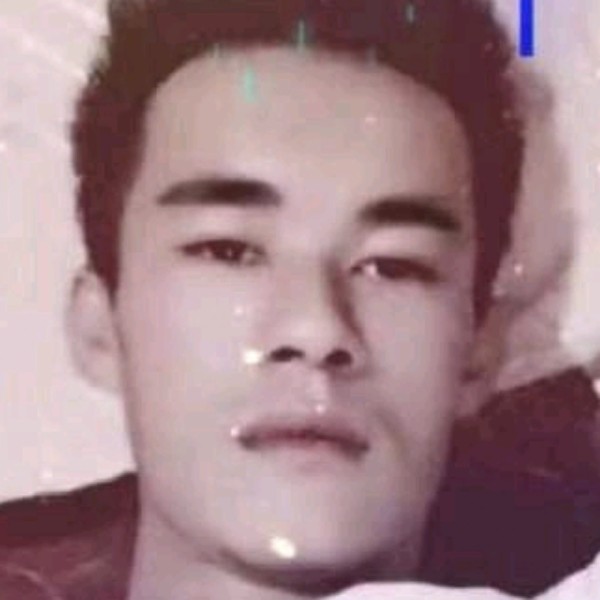 菠萝蹁跹呆萌的照片
