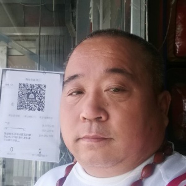 小鸽子爱恋谨慎的照片