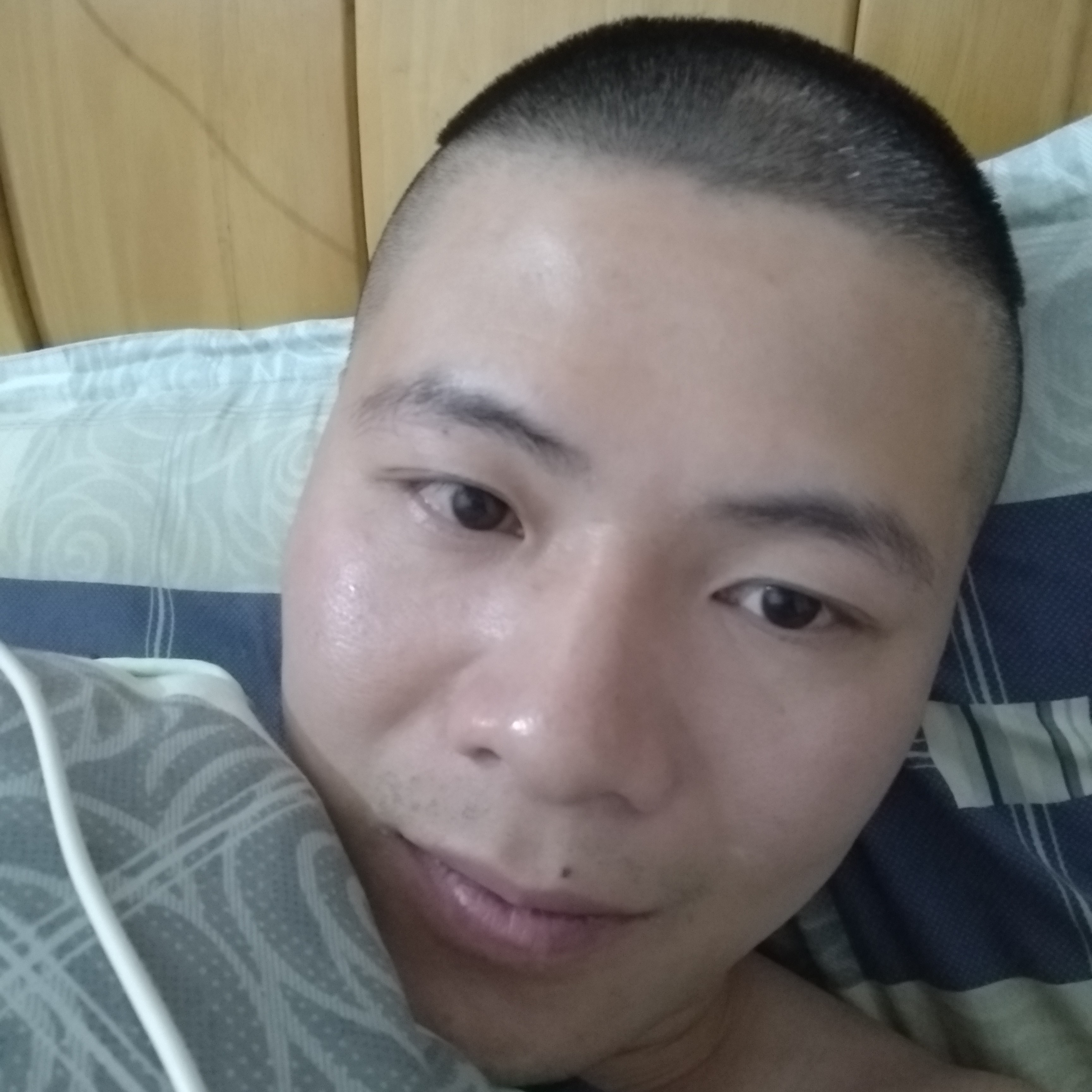 鸽子守候的照片