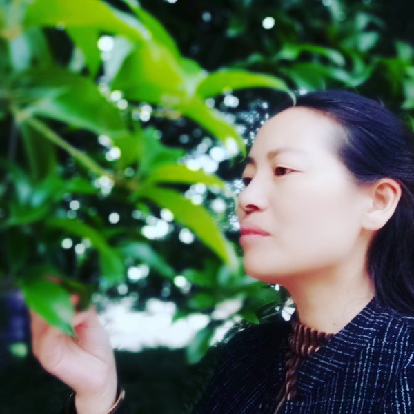 搞怪大雁的照片
