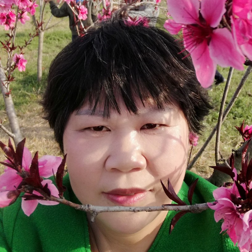 何方是我家的照片