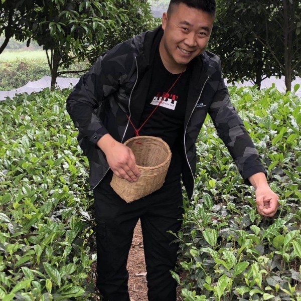 失眠闻咖啡豆的照片