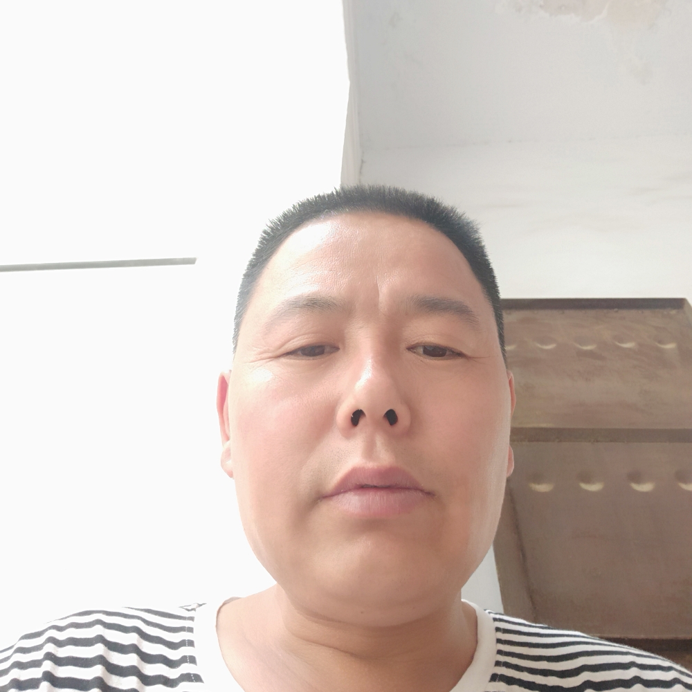 芝麻舒适的照片