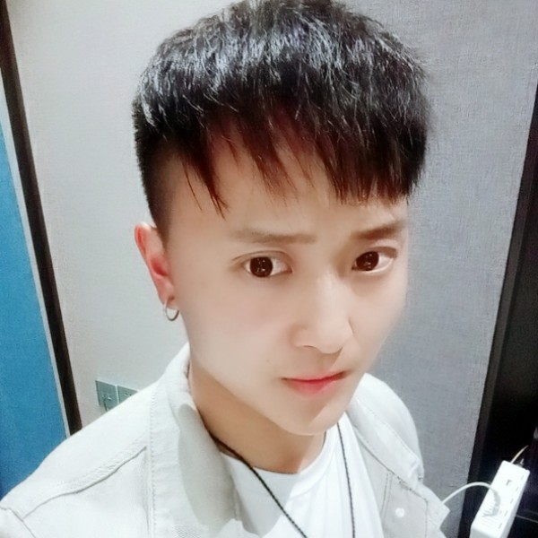 会飞的小龙虾的照片