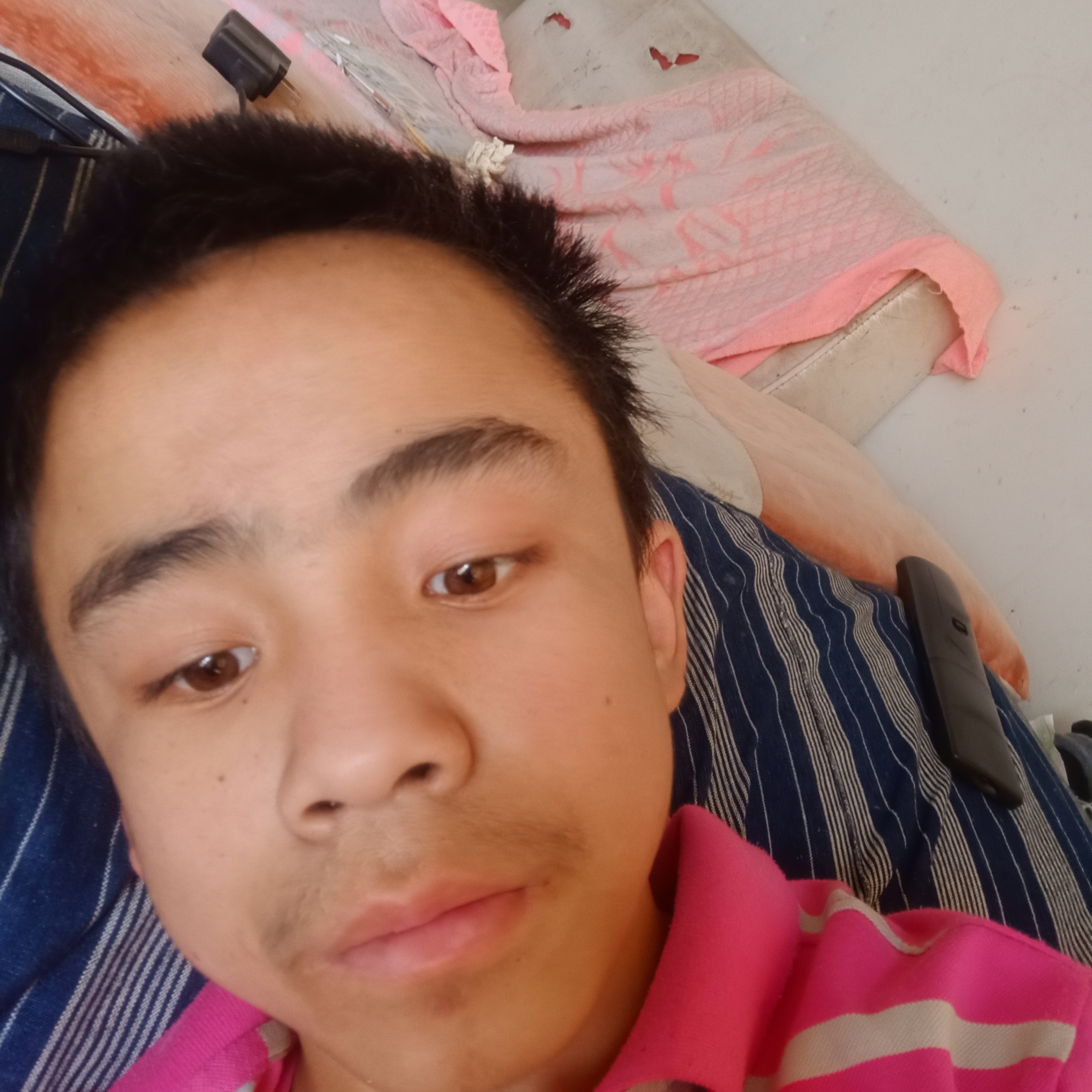 紫菜爱撒娇的照片