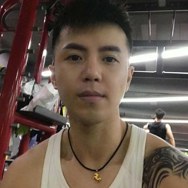 奔腾的黑马的照片