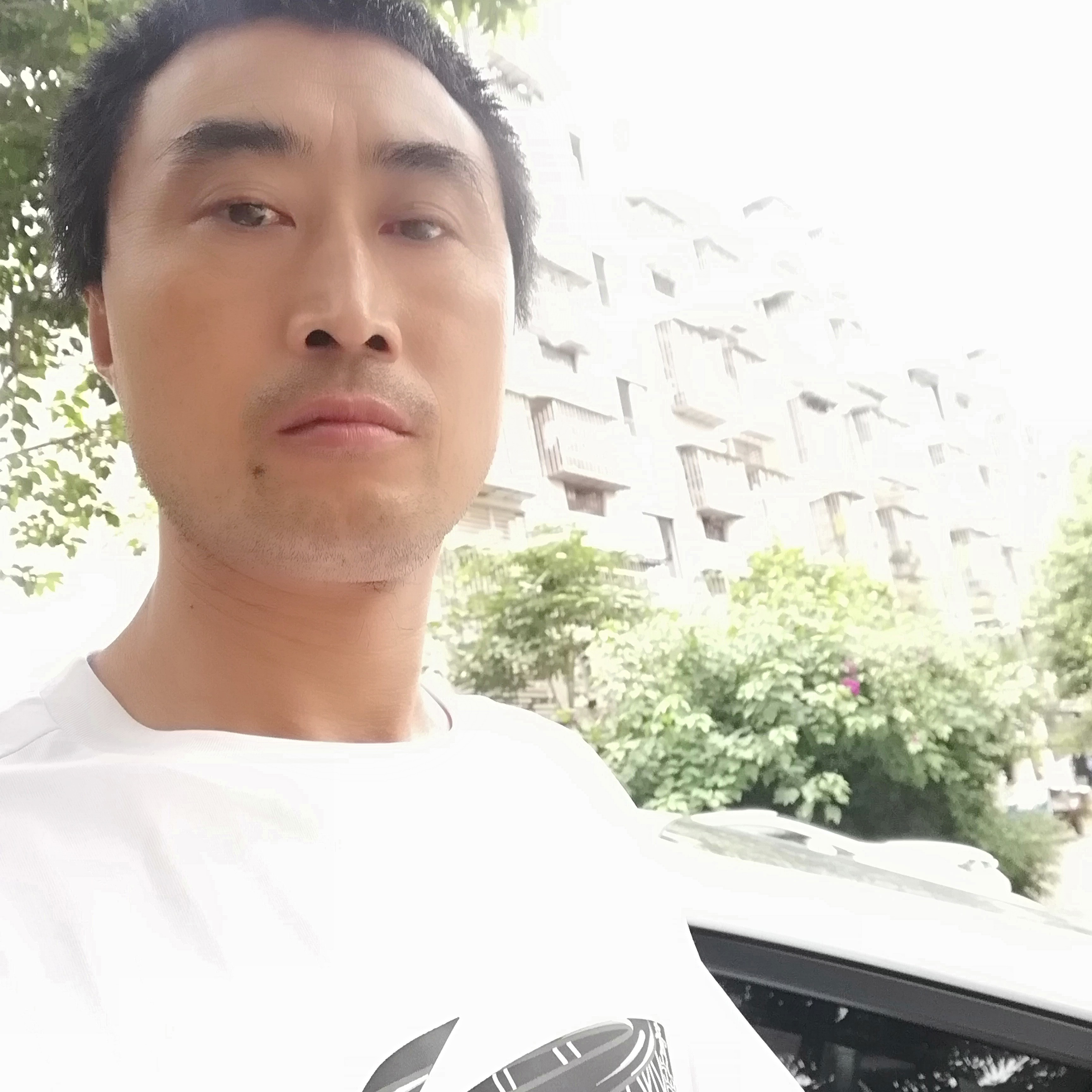 早晨闻陶醉的照片
