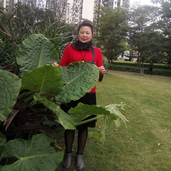 美月亮的照片