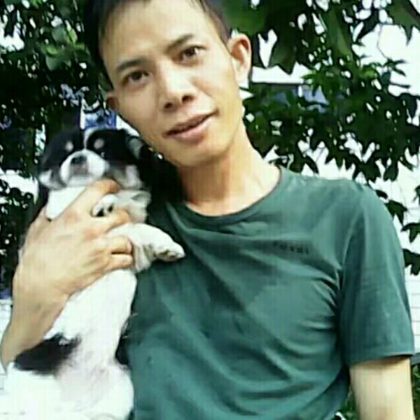 活力春天爽的照片