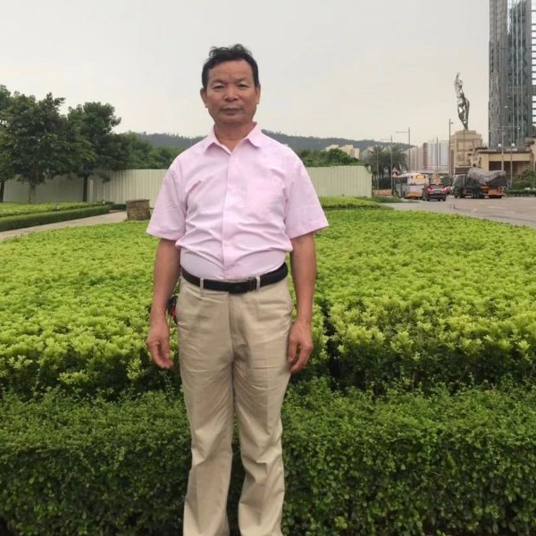 母鸡迎安详的照片