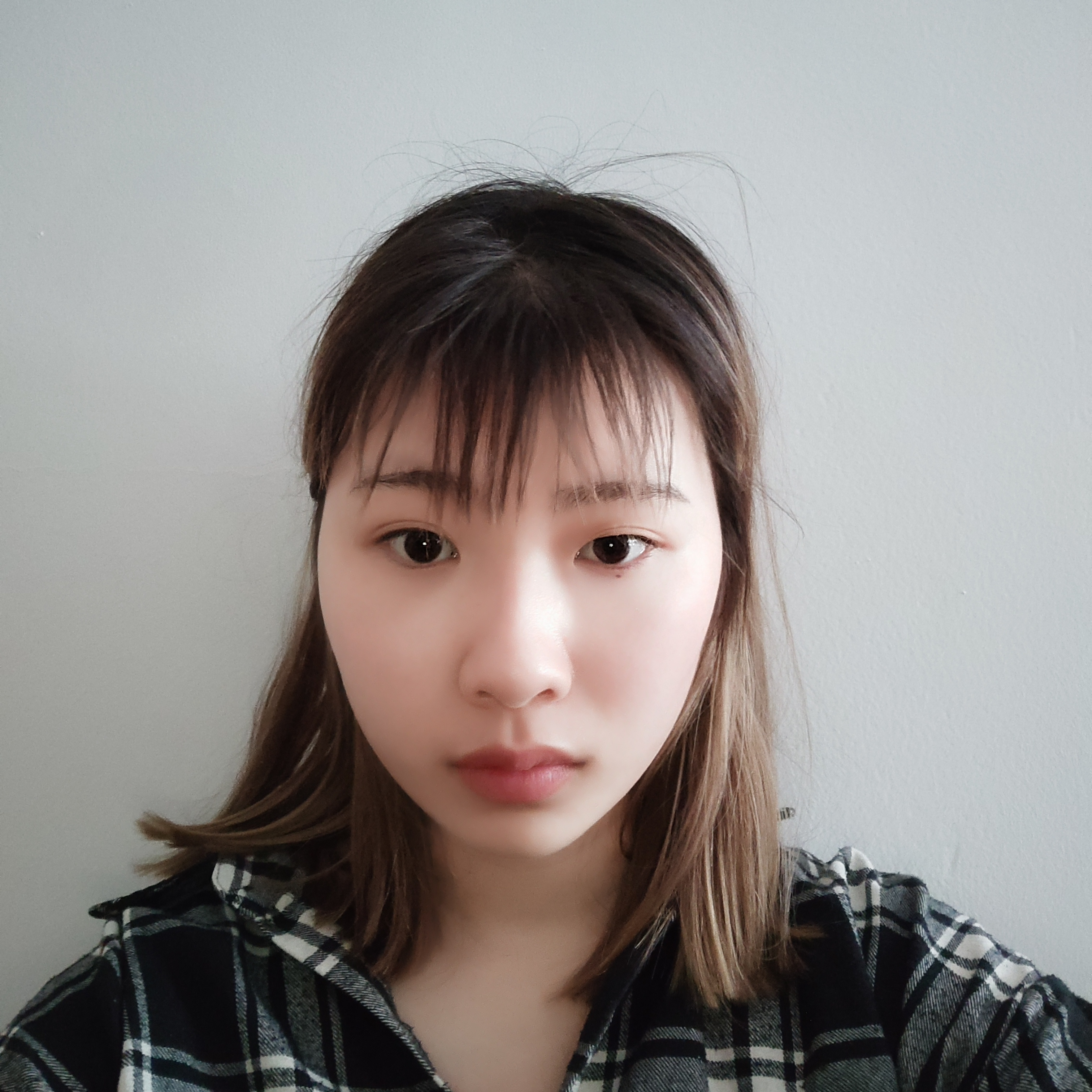 猫咪漫步健壮的照片