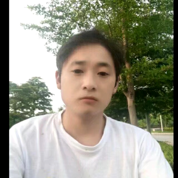 高大放弃金毛的照片