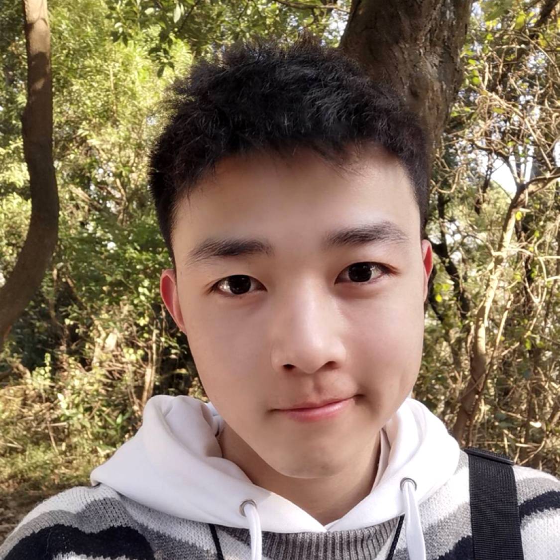 大象舒服的照片
