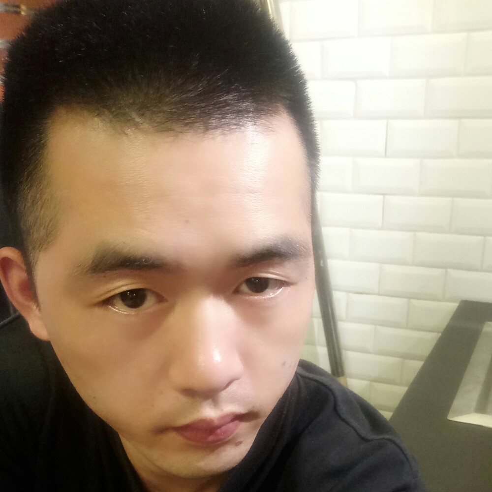 落叶重起的照片