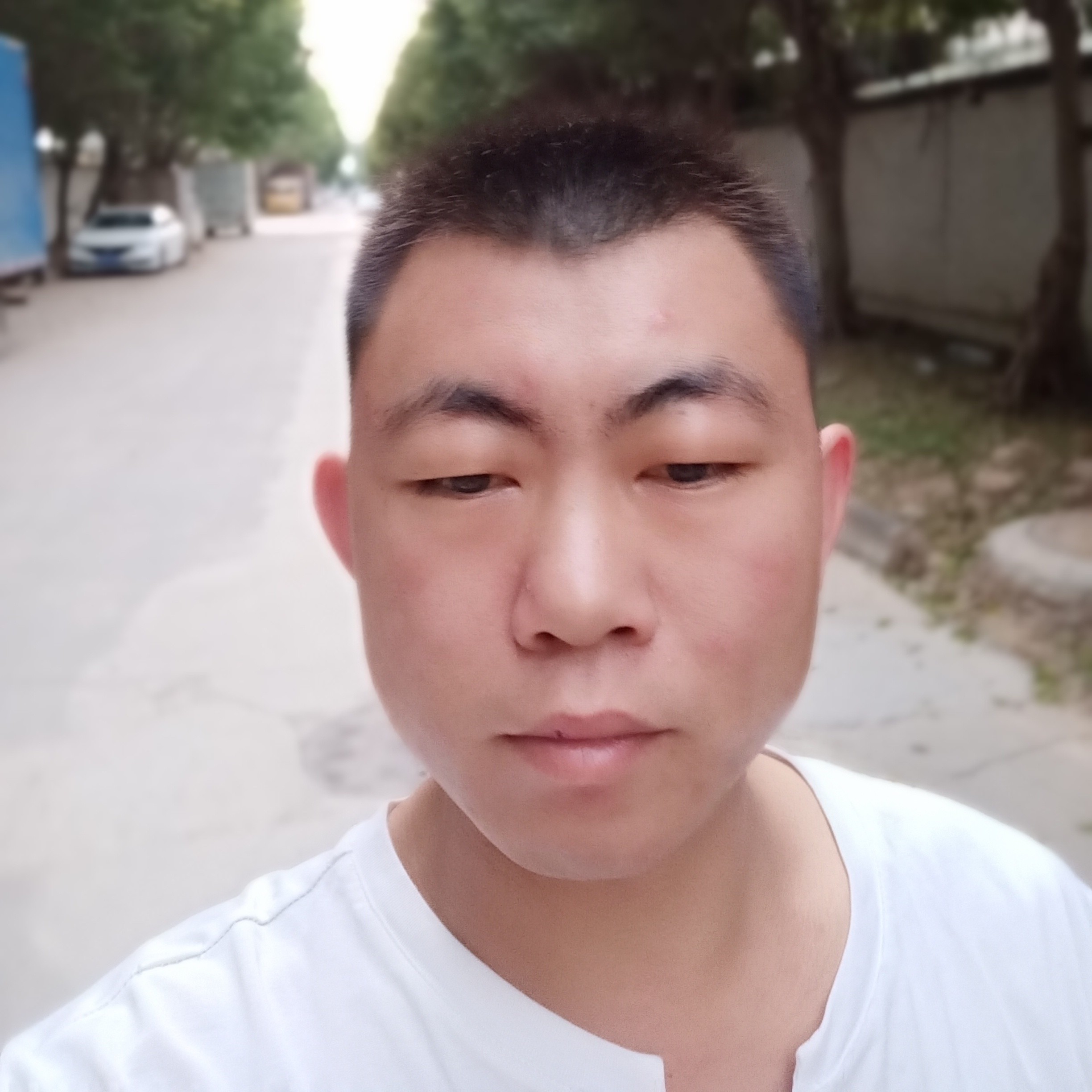 黯然的诺言的照片