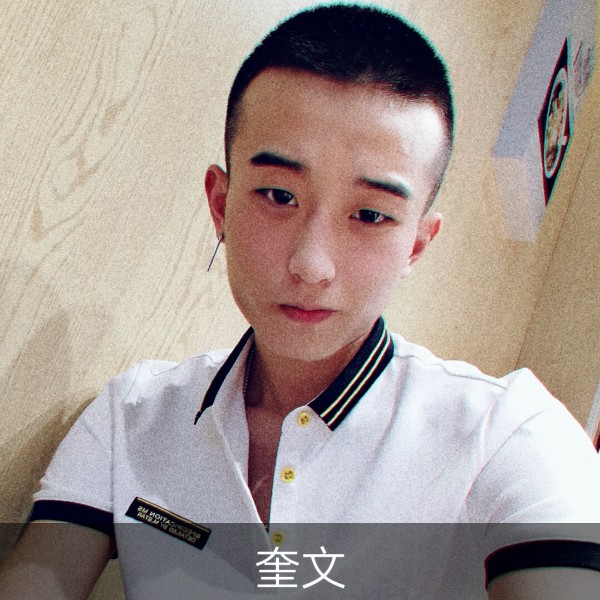 诺言用激昂的照片