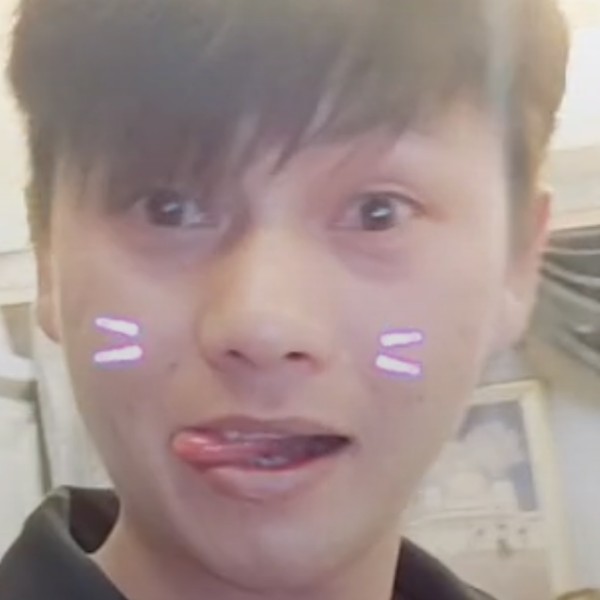 暴躁相许小海豚的照片