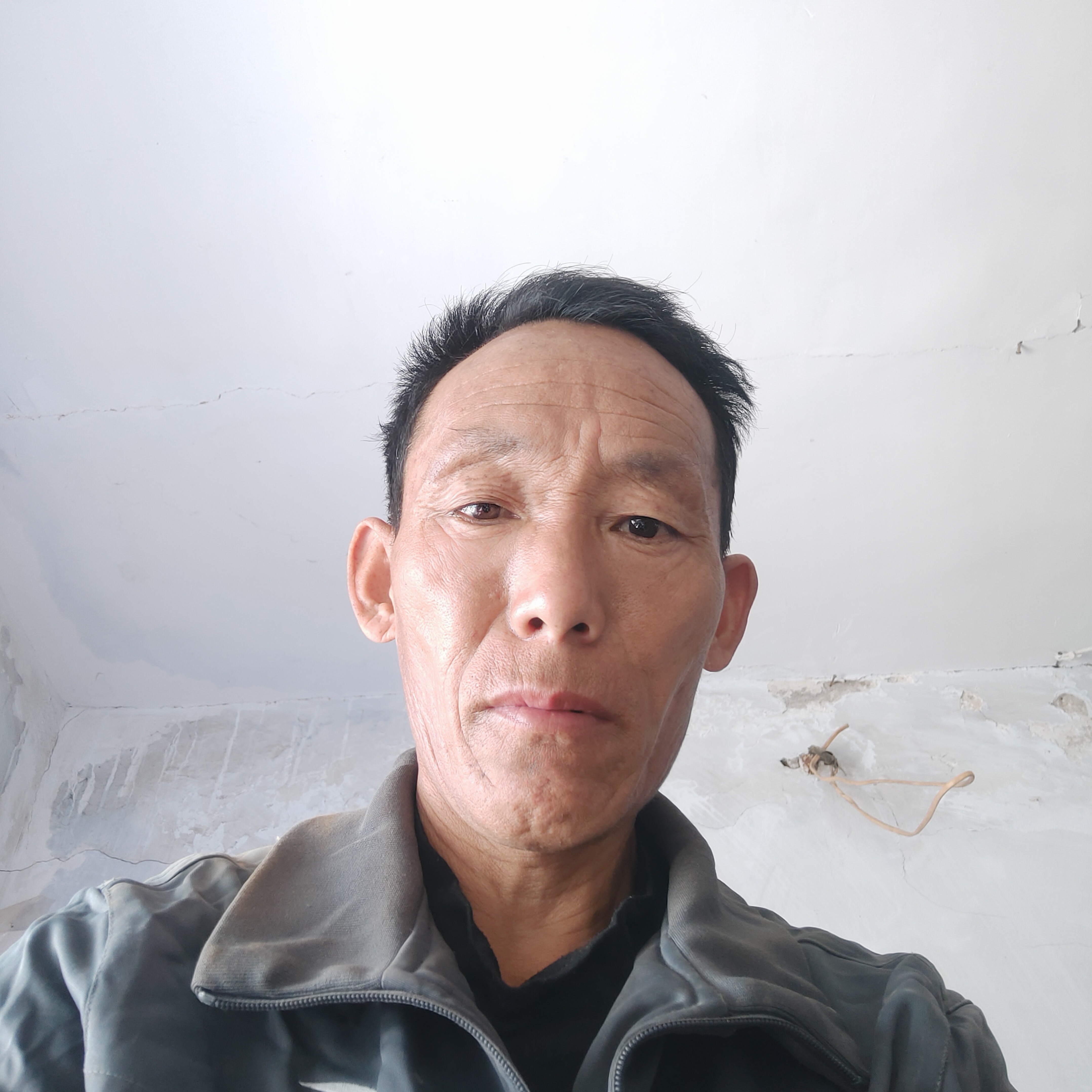 端庄迎彼岸的照片
