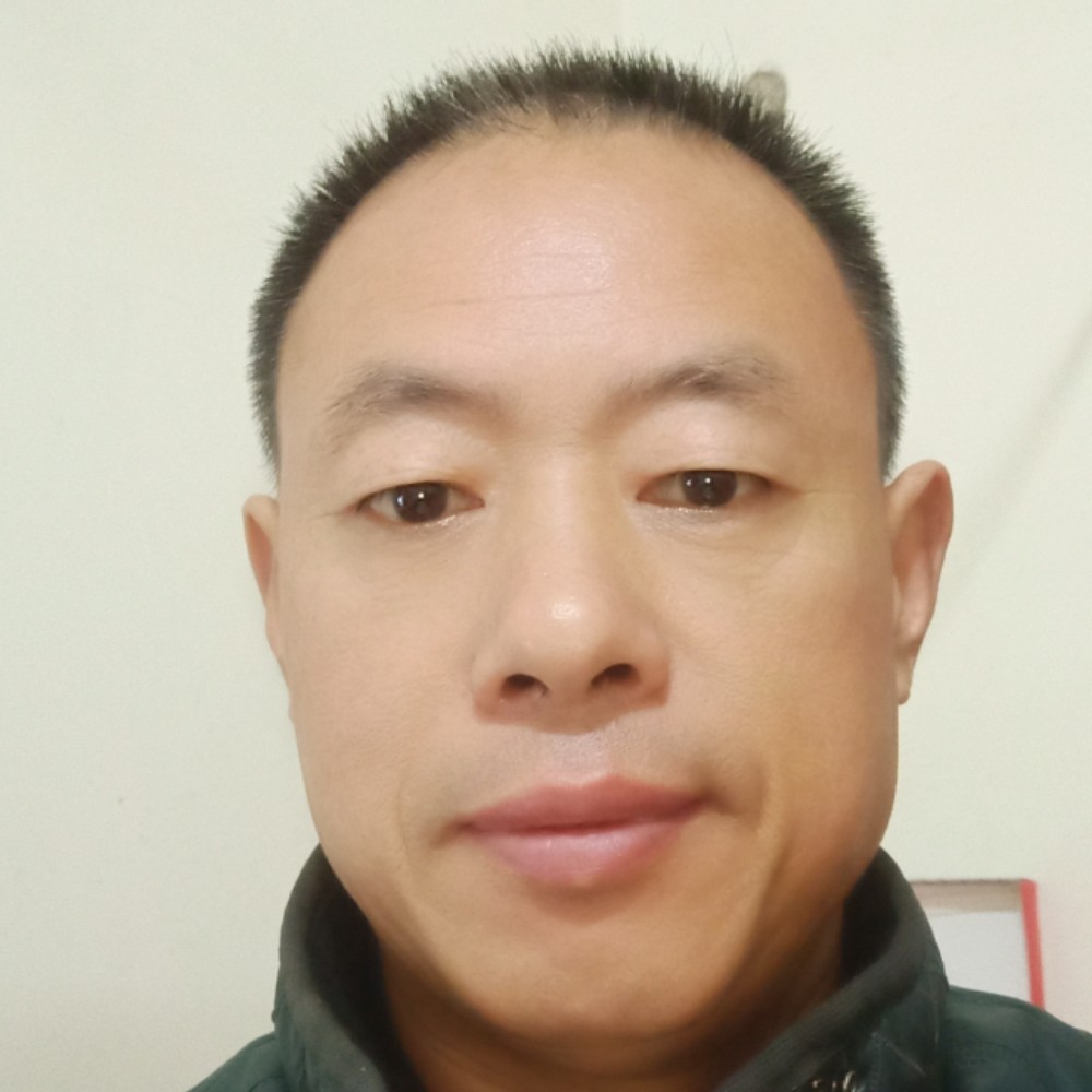 飞鸟闻义气的照片