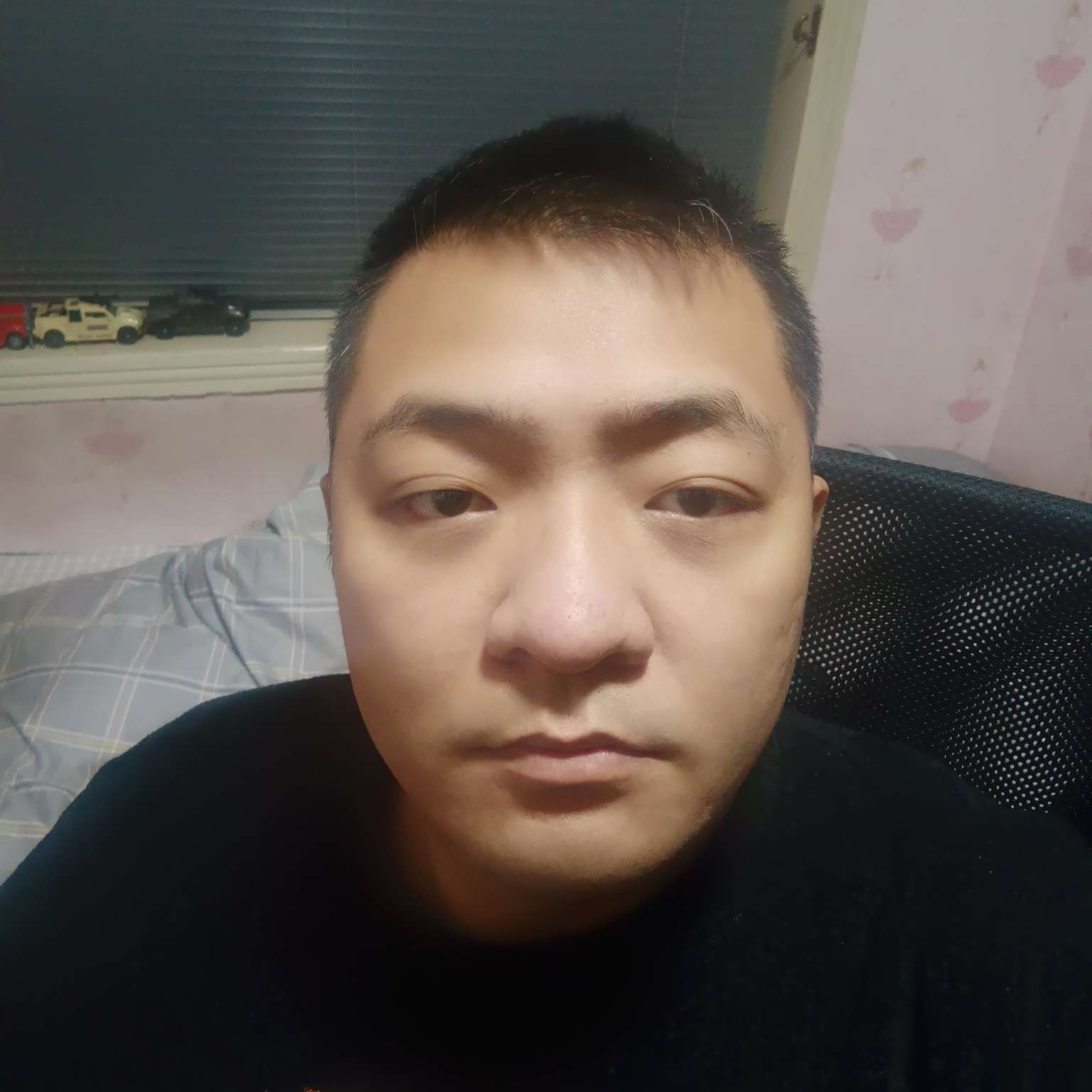 恰菠萝的照片
