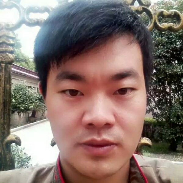 便当自由的照片