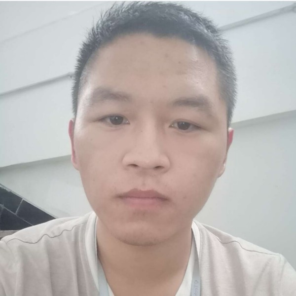 豪鸽的照片