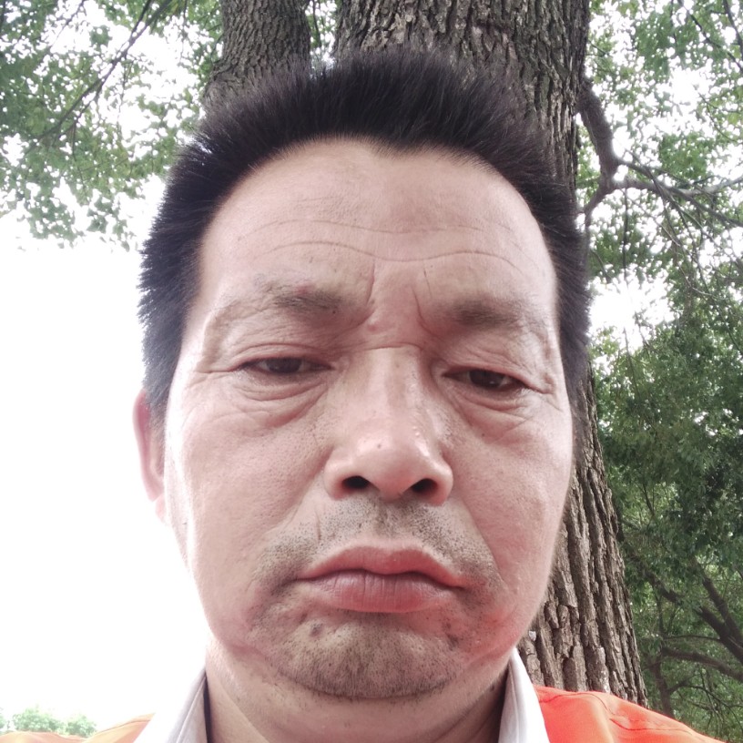 激昂倾心手机的照片