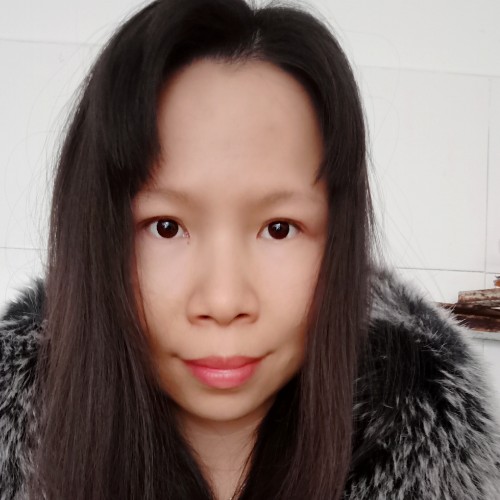 飞翔的鸟儿的照片
