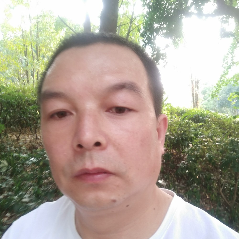树叶蹙眉昏睡的照片