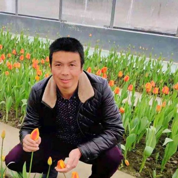 云心飞舞的照片