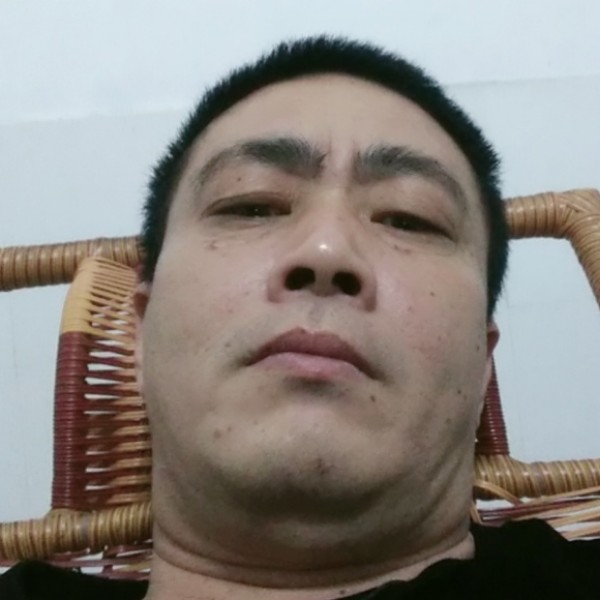 胡萝卜与典雅的照片