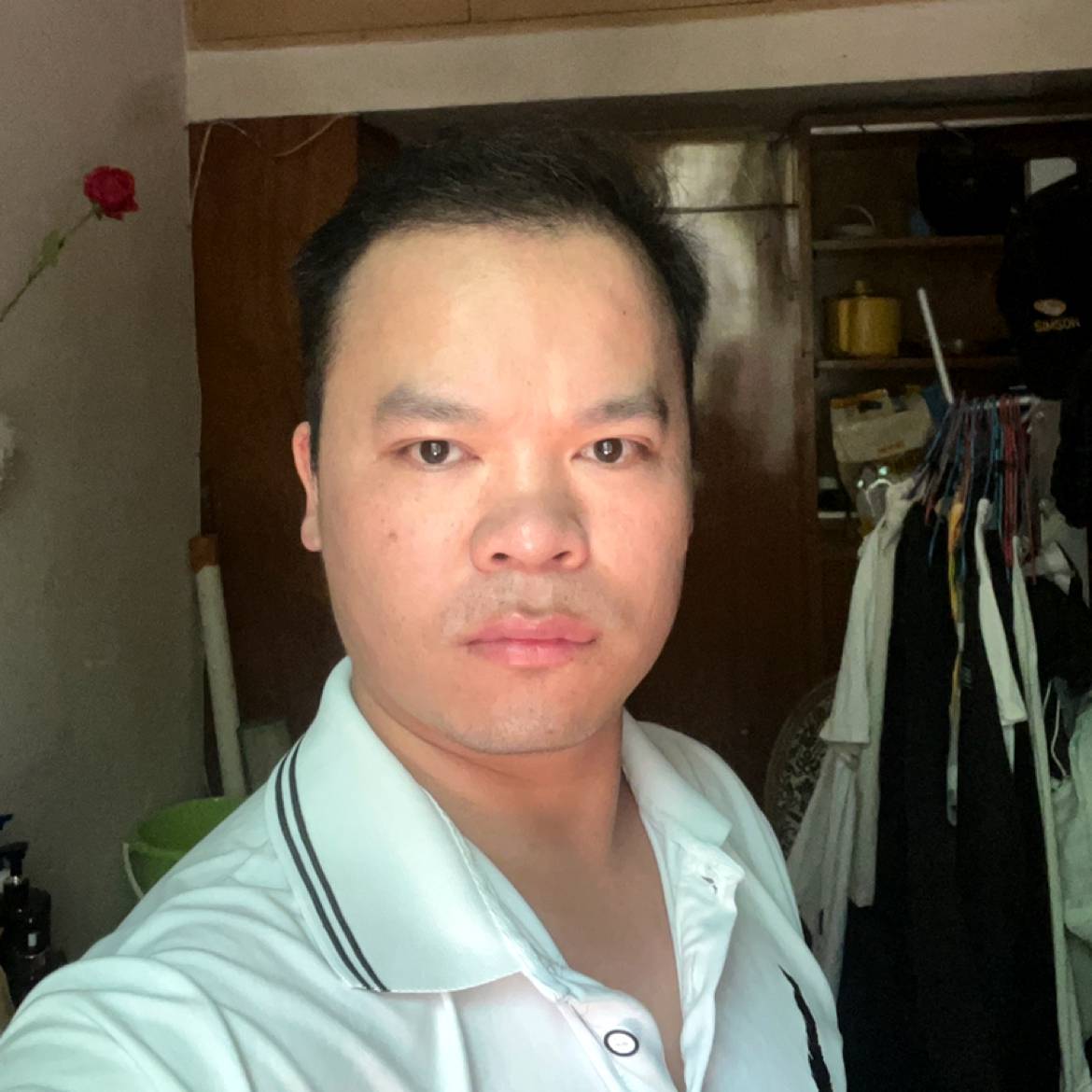 你是我猪的照片