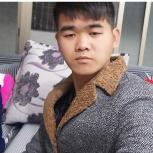 夜兔子的照片