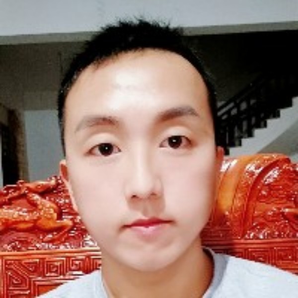 寂寞的北极星的照片