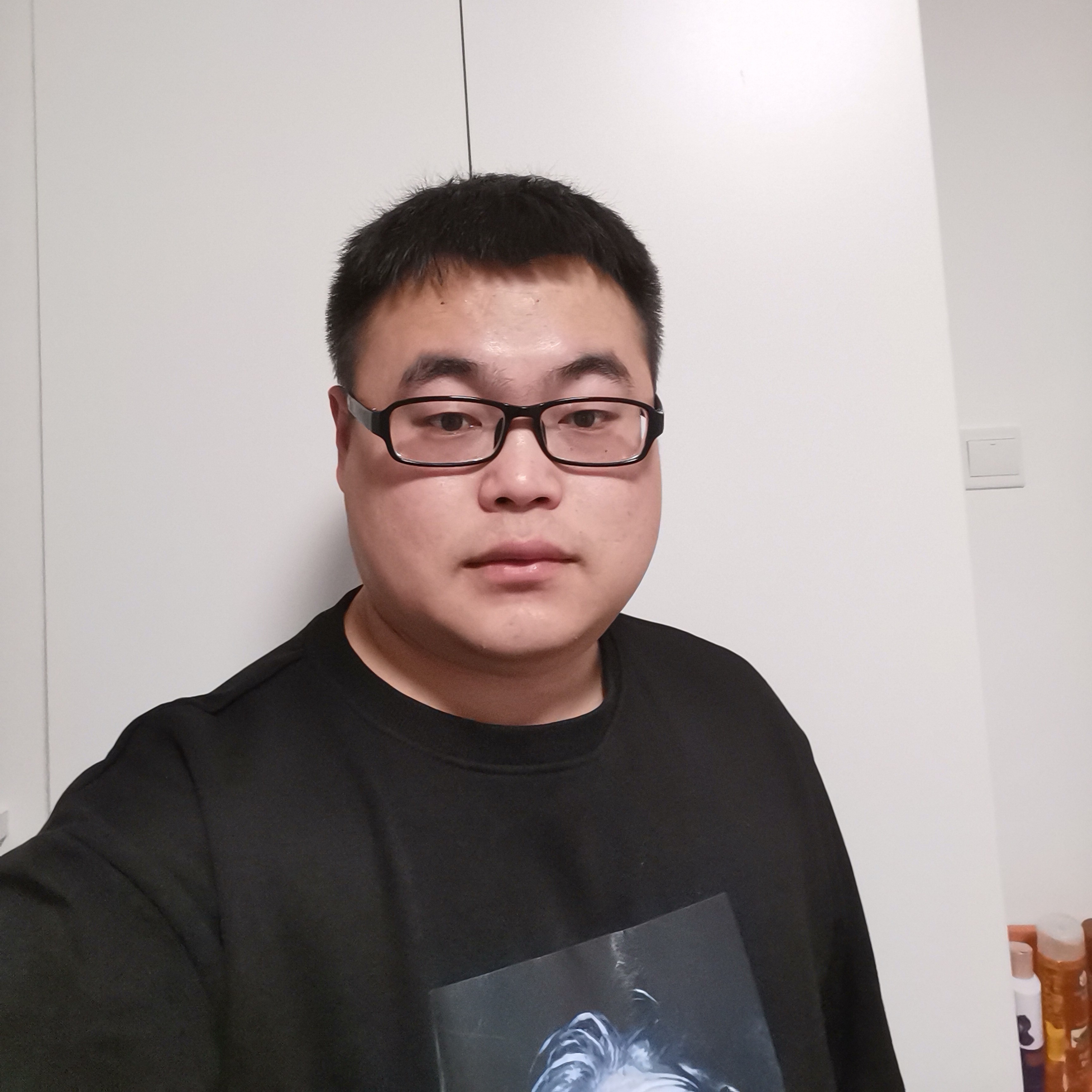 坚韧不拔的石头的照片