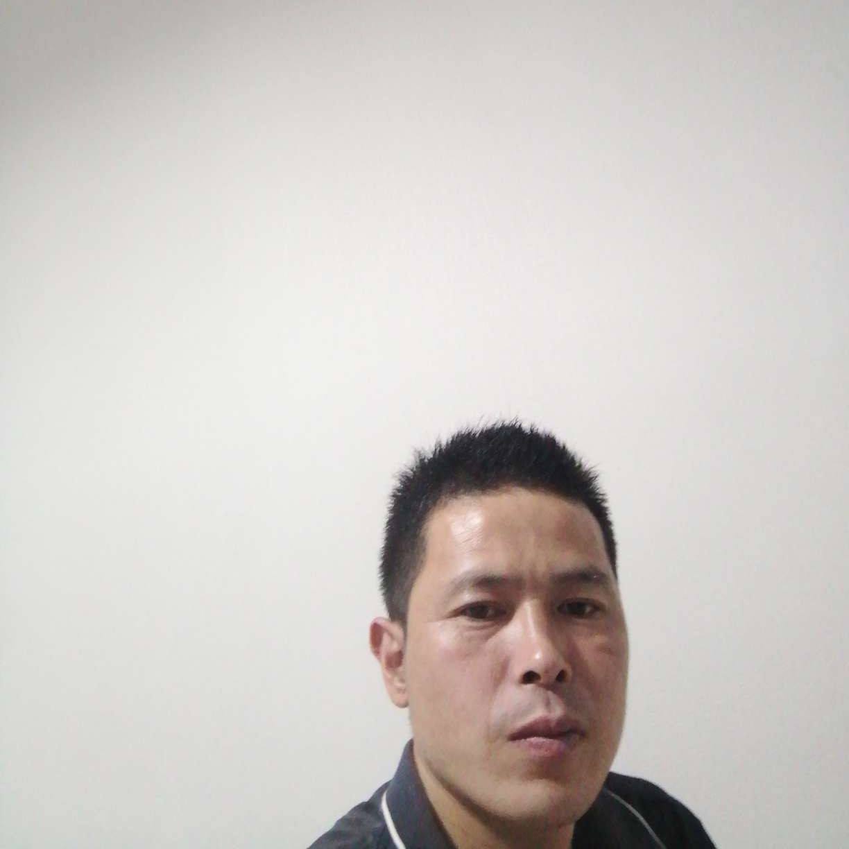 负责保卫洋葱的照片