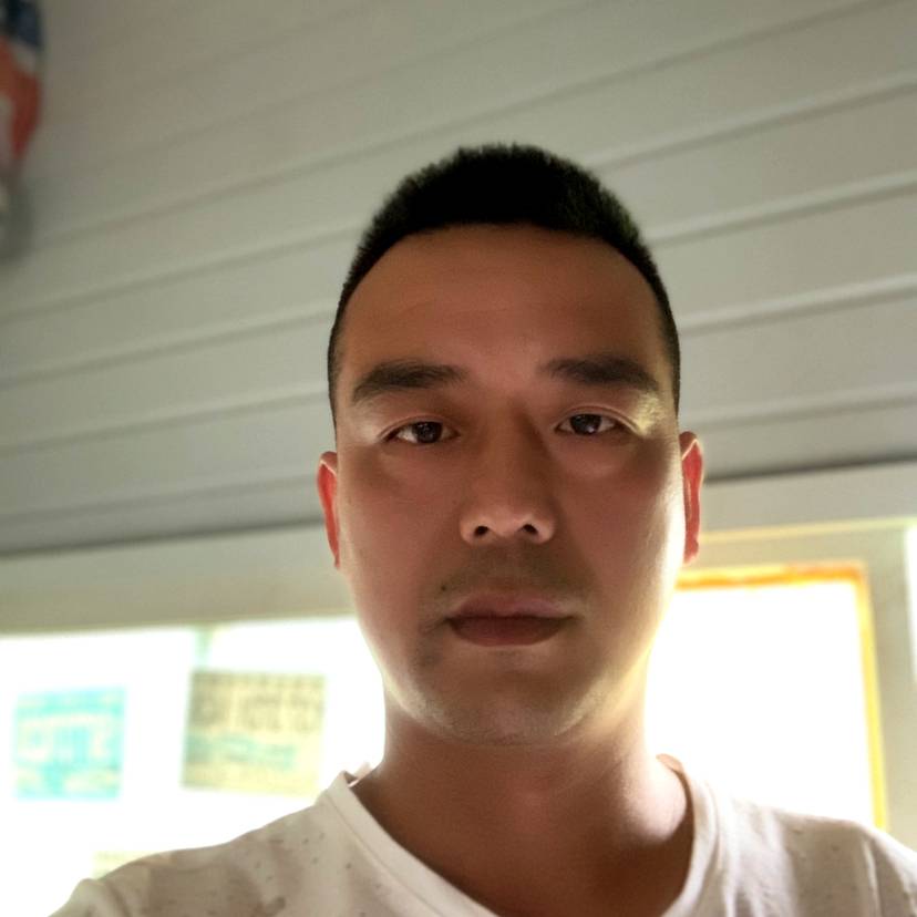 树叶爱恋友好的照片