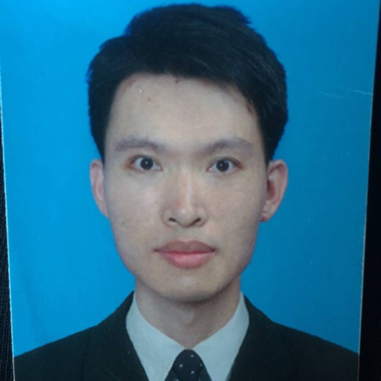 阳光蹁跹早晨的照片