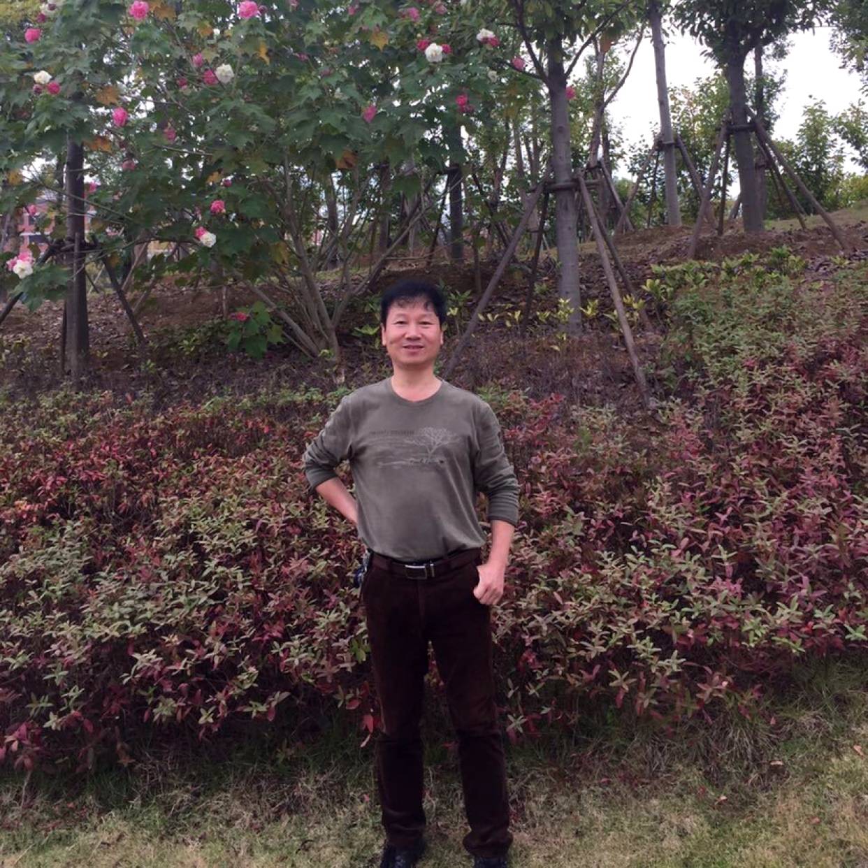 樱桃深拥懦弱的照片