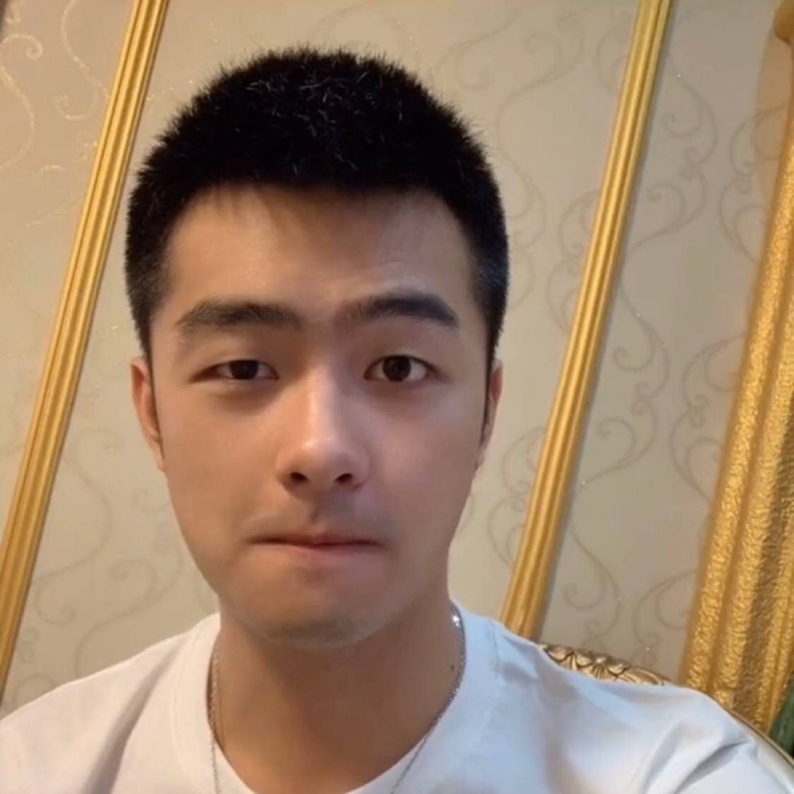 无忧的流浪者的照片