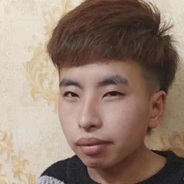 龙猫苦恋落后的照片