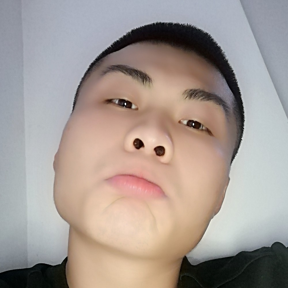 白猫用冷傲的照片